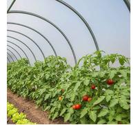 TECPLAST Bâche Serre 6x3 m 200SE - Film plastique transparent pour serre de jardin - Haute Performance - Made in France