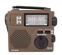 TECSUN GR-88P Amplificateur pour instruments de musique, Compatible avec tous les instruments de musique, Amplificateur solide, Noir