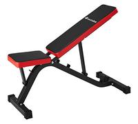 tectake Banc de Musculation avec Réglage en Hauteur Rapide, Dossier Réglables en 4 Positions, Surface d’Assise Réglable en 2 Positions