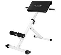 tectake® Banc de musculation pour Dos et Abdominaux, Réglable sur 5 niveaux de Hauteur, Banc lombaire pliable Hyper-extension Sport Musculation maison Appareil abdominaux Sport maison, 89 x 69 x 88 cm