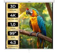 tectake® Écran de Projection Toile projecteur Home Cinema pour videoprojecteur en HD TV 16:9 4:3 Ecran Projection Enroulable pour soirée DVD Film, Sport Maison Bureau Voyage