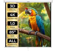 tectake® Écran de Projection Toile projecteur Home Cinema pour videoprojecteur en HD TV 16:9 4:3 Ecran Projection Enroulable pour soirée DVD Film, Sport Maison Bureau Voyage