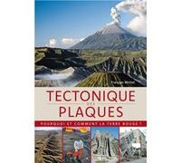 Tectonique des plaques François Michel (Auteur)