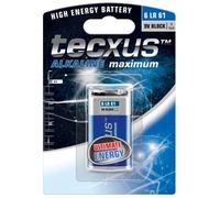 TECXUS - TECXUS IBT T6LR61 BLISTER 1 pile 9V alcaline 6LR61