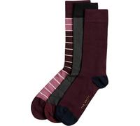 Ted Baker - Chaussettes pour homme/femme unie(pack de 3) GT2427 (Taille unique) (Noir/Brun/Bordeaux)