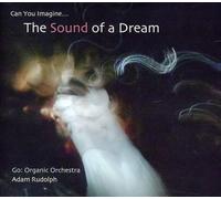Ted Daniel Go: Organic Orchestra - Can You Imagine The Sound Of A Dream (CD)