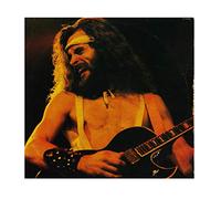 TED NUGENT - double live gonzo LP