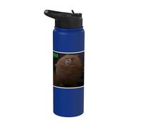 Ted TV Series Puffy Bear Stainless Steel Insulated Water Bottle