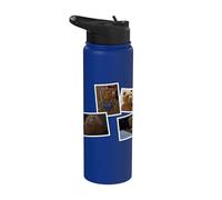 Ted TV Series Ted All Over Print Stainless Steel Insulated Water Bottle