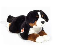 Peluche chien bouvier bernois allongé 40 cm