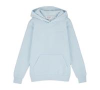 Teddy Smith Sweat à Capuche Bleu Clair Homme nark Hoody