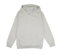 Teddy Smith Sweat Garcon S-NARK Hoody JR Blanc Ivoire Chine