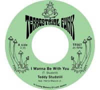 Teddy Studstill I Wanna Be With You/There Comes a Time (Vinyl) 7" Single