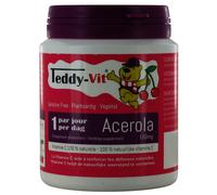 Teddy Vit Acérola 160mg Gommes 50