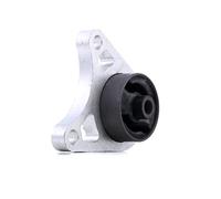 TEDGUM 01164615 Suspension, Différentiel