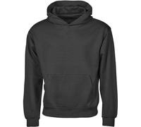 Tee Jays - Sweat à capuche "Urban" Qualité lourde pour hommes PC7708 (L) (Noir)