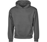 Tee Jays - Sweat à capuche "Urban" Qualité lourde pour hommes PC7708 (M) (Gris poussière)