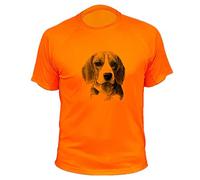Tee Shirt, Beagle, idée Cadeau - SUTEO369-3XL