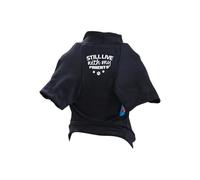 Tee-Shirt De Printemps Chien avec des Mots Drôles Vivez Toujours avec Mes Parents- Tee-Shirts Vêtements Vêtements Bleu/Pull.