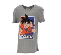 Tee shirt Dragon Ball Z - GRIS Garcon 16 ans
