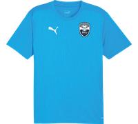 Tee-shirt Puma SKU Amstetten Training Shirt 4064179616727 taille M EU