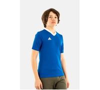 tee shirts manches courtes adidas originals ent 22 royblu 14 ans