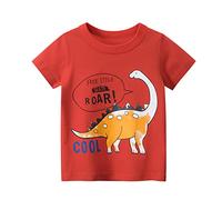 Tee Tops Dinosaure De Bande Dessinée pour 17 Garçons Courts Bébé Chemises Enfant Manches Enfants T Vêtements du Cou Ans Garçons Tops (Red, 2-3 Years)