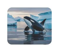 Teecustom Tapis de Souris 22x18 cm - Orque dans Les Glaces - Océan Arctique & Liberté Marine - Surface Lisse & Base Antidérapante
