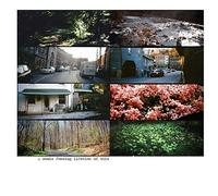 Teen Suicide - A Whole Fucking..