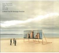 Teenage Fanclub - Four Thousand Seven Hundred & Sixty Six Seconds