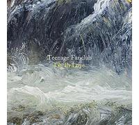 Teenage Fanclub - I'm in Love [Import]