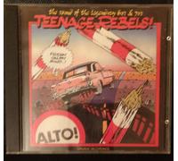 Teenage Rebels " The Sound Of The Legendary 60s&70s