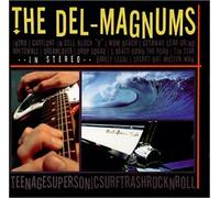 TeenageSuperSonicSurfTrashRockNRoll