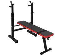 Teenpull Banc de Musculation Noir en Acier 126,5 x 67 x 111 cm Pliable avec Station dips réglable pour entraînement Fitness haltérophilie Musculation à Domicile