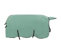 Teenpull Couverture Équine Vert en Polyester 155 cm, Couverture Cheval Respirante pour extérieur Hiver, Chemise Isolante avec Doublure Thermique, Protection Contre Froid et Pluie