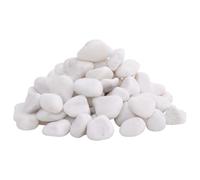 Teenpull Galets polis blancs, 2 à 5 cm, poids : 25 kg, pierres naturelles pour décoration d'aquarium, décoration de plantes, cachette et terrarium