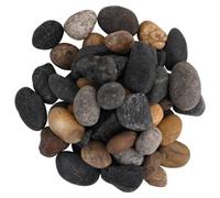 Teenpull Galets polis, multicolores, 10 kg, 5-8 cm, pierres naturelles pour décoration d'aquarium, aquarium, terrarium, paysage aquatique, accrocheur, cachette et plantes