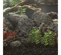 Teenpull Roches volcaniques Naturelles Noir 10 kg 10-30 cm pour Aquarium décor aquascaping Terrarium Bassin Refuge Habitat Plante Ornement