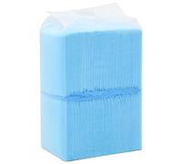 Teenpull Tapis d’hygiène pour Chiens 200 pcs 45 x 33 cm Tissu Non tissé Absorbant jetable pour Chiots Chiens éducation propreté Protection Sol Cage