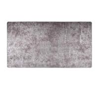 Teenpull Tapis Lavable Gris en Velours Doux 190x300 cm pour Salon et Chambre, Tapis Anti-Bruit en Polyester résistant avec Dos PVC, Facile à Entretenir et protéger Les sols