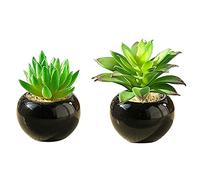 Teensery Lot de 2 Mini Pots de Plantes artificielles avec Noir Rond Bol en céramique pour décoration de la Maison, décoration de Bureau, Cadeau et Bien Plus Encore
