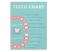 Teething Chart For Babies Poster Nursing Guide Dental Care Educational Wall Decor For Nursery Room(Unframed,16x24inch(40x60cm))
