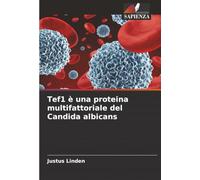 Tef1 è una proteina multifattoriale del Candida albicans