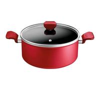 TEFAL Faitout 24 cm - Daily Expert