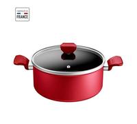 Tefal Faitout 24 Cm, Induction, Revetement Antiadhésif, Couvercle Verre, Ergonomique, Fabriqué En France, Daily Expert C2894602 rouge G