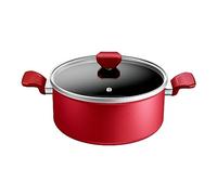 Tefal Faitout 24 Cm, Induction, Revetement Antiadhésif, Couvercle Verre, Ergonomique, Fabriqué En France, Daily Expert C2894602