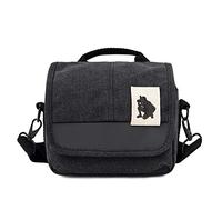 TEHAOUU Sac en toile pour appareil photo sans miroir, étui pour appareil photo numérique DV pour Canon et Fujifilm Telephoto, sac à bandoulière (Noir)