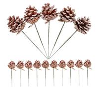 TEHAUX 20 Pièces Décoration De Noël Pommes De Pin Choix De Cône De Pin De Noël Café