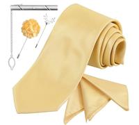 TEHAUX 5 Pièces Ensemble Cravate Homme Élégant en Polyester avec Pochette, Épingle de Revers en Alliage, Pince à Cravate pour Bureau et Banquets, Maintien Sûr et Style Raffiné