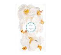 TEHAUX Barrettes Hibiscus Artificielle Blanche en Pvc, Faciles à Clipser et Retirer, Accessoires Cheveux pour Vacances et Décorations de Fête Hawaïennes, Lot de 10 Couleur Aléatoire
